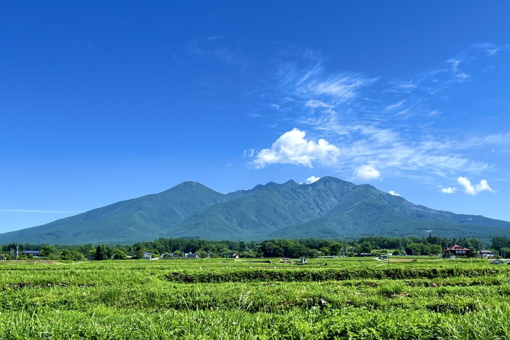 南麓から見た初夏の八ヶ岳